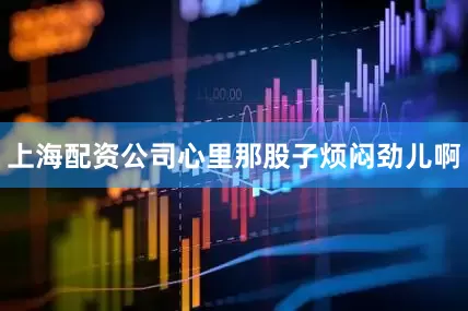 上海配资公司心里那股子烦闷劲儿啊